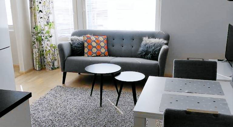 Apartment | Near Arktikum Science Museum | Dogs allowed — photo 2