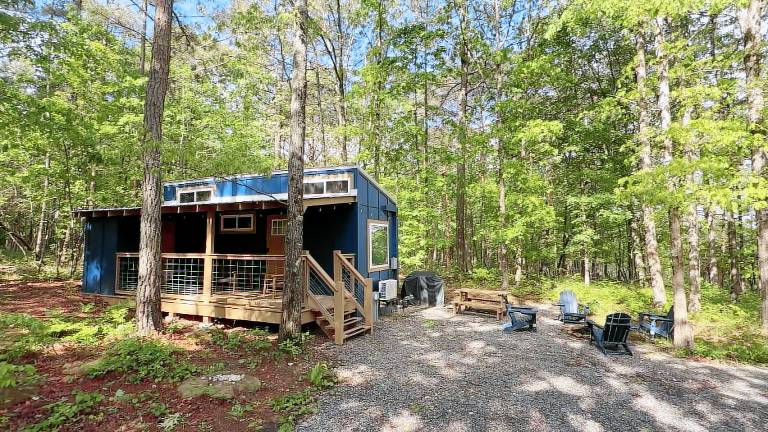 Tiny Cub House Secluded Tiny House on 1.7 Acres, Mentone — photo 2