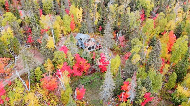 Cabin Lutsen