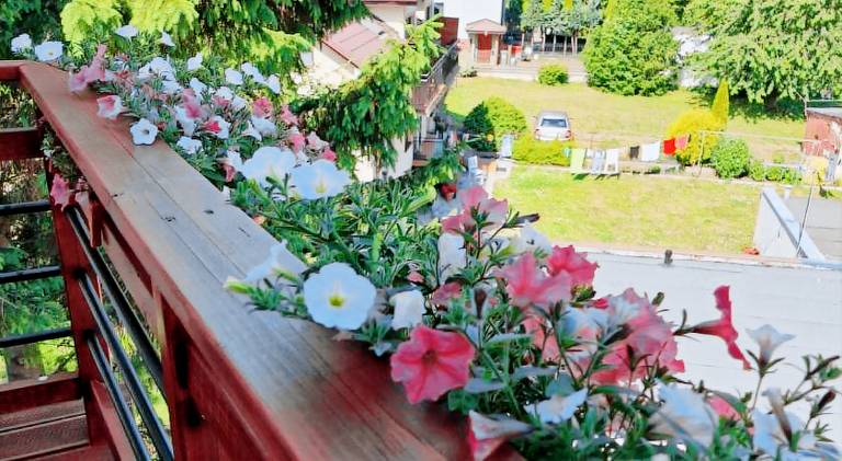 Serviced apartment with barbeque, yard & terrace | Close to the beach | Dogs allowed — photo 5