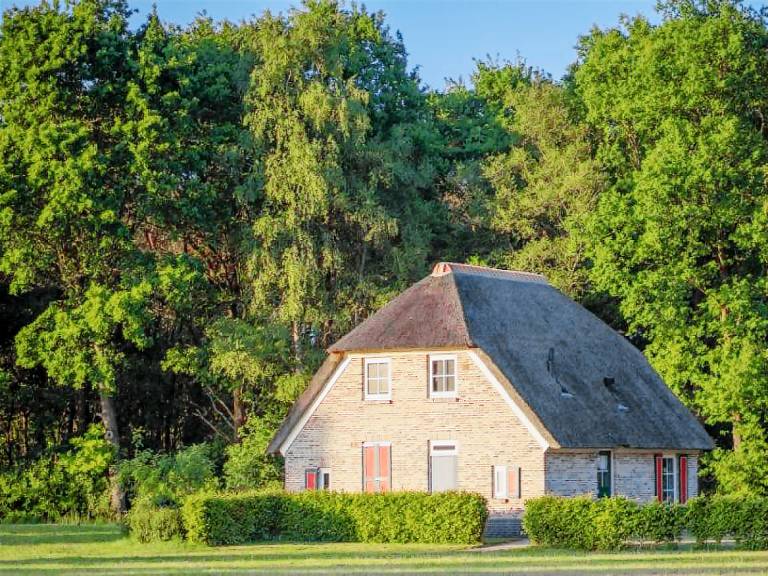OV246 Ferienhaus im Den Ham