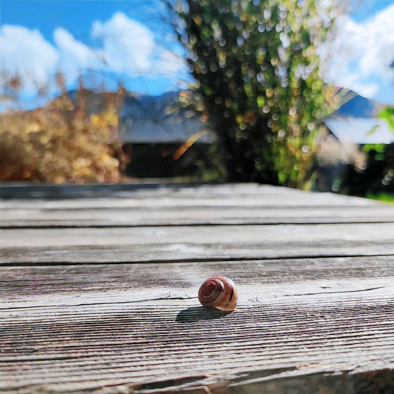 Holiday apartment with patio & yard | Mountain view — photo 5