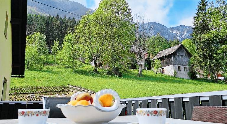 Spacious house | Dogs allowed in Villach