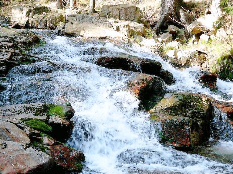 Ferienhaus mit Hund in Braunlage, Niedersachsen f&uuml;r max. 3 Personen
