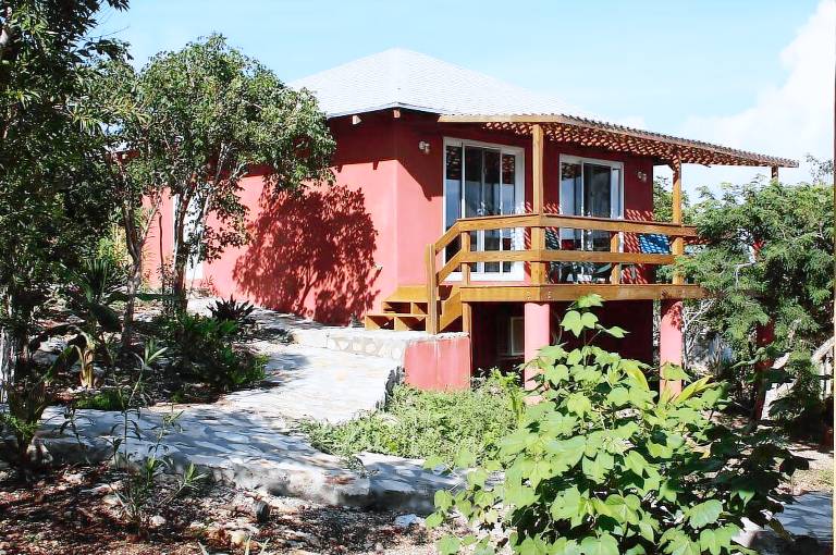 House  Cat Island