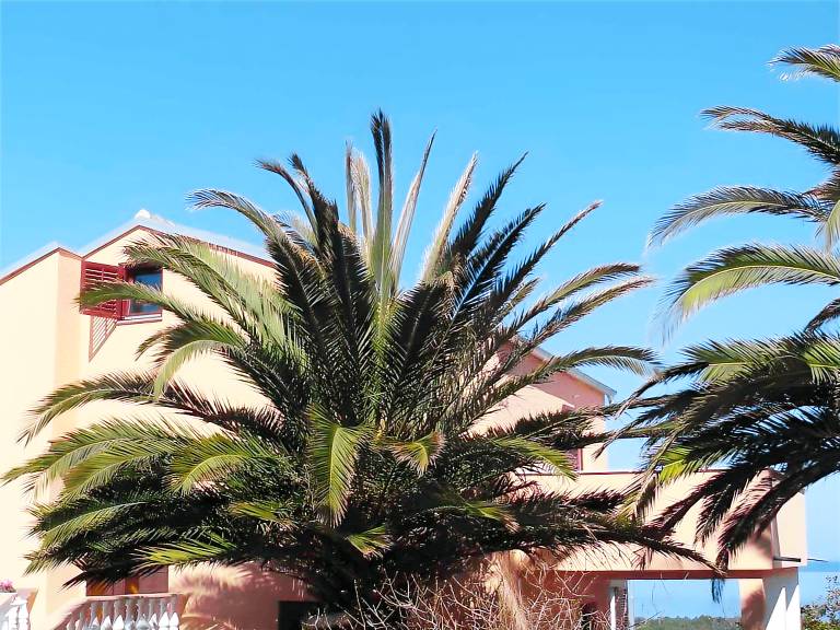 Nice rental apartment with yard | Pet-friendly — photo 4