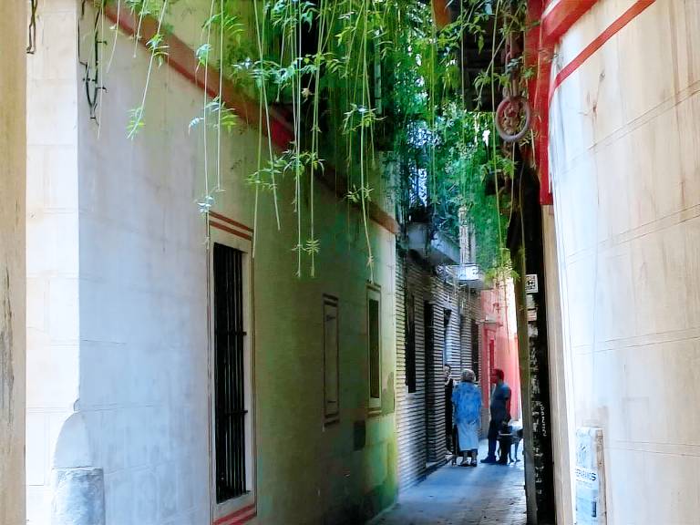 Leilighet  Triana