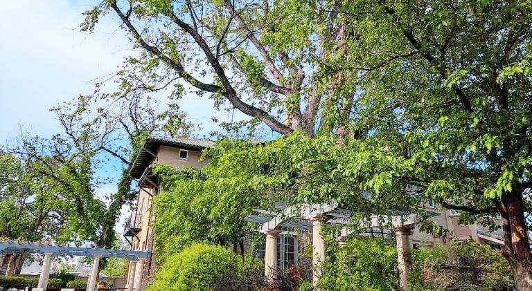 Luxury at the 1912 Sharp Mansion — photo 4