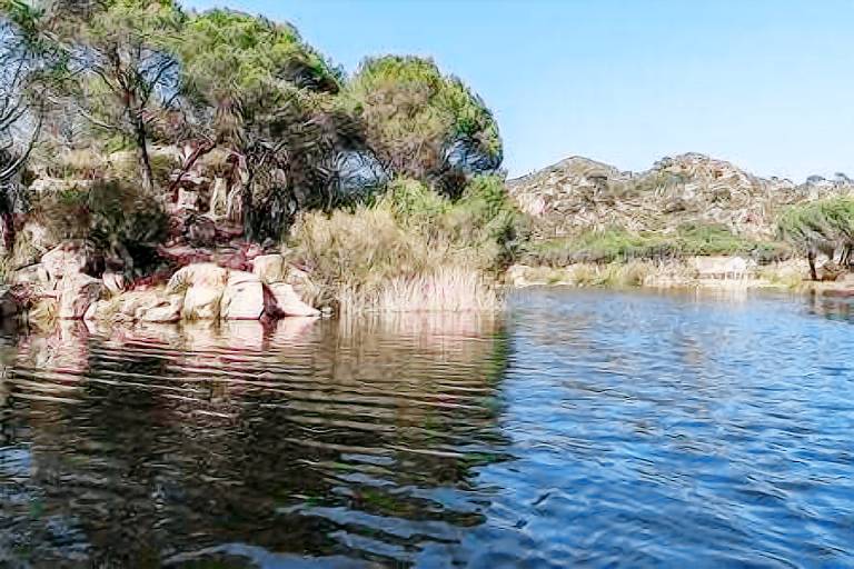 Casa  Las Jaras