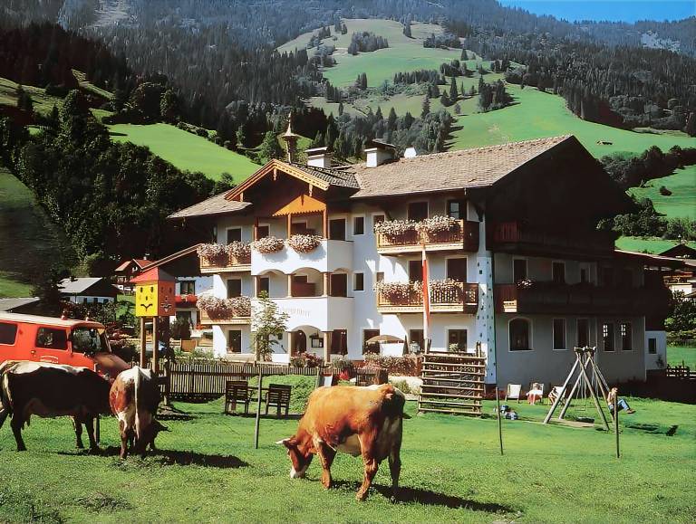 Bauernhofhotel "die Unterbergerin" - Zimmer mit Fruhstuck und Ferienwohnungen in Gastein mit GRATIS in Dorfgastein