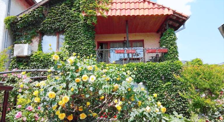 Guest House Amazonka — photo 5