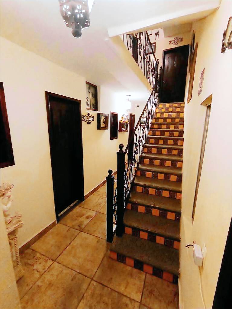 foto7