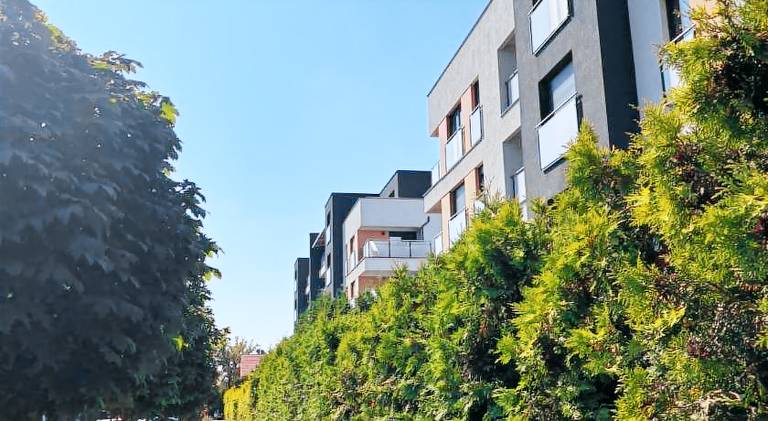 Rental apartment | Pet-friendly in Zabrze