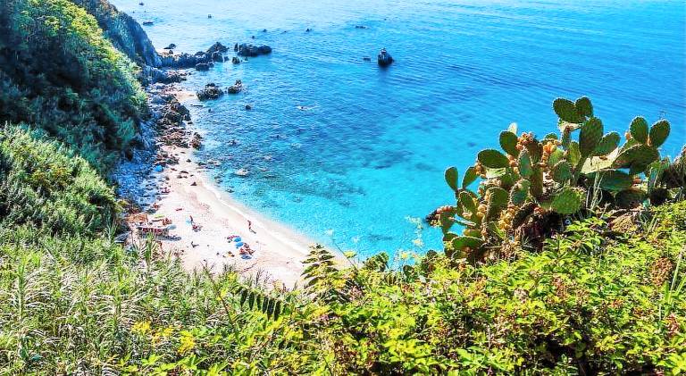 Nice holiday apartment with yard | Next to the beach | Pets are welcome in Parghelia