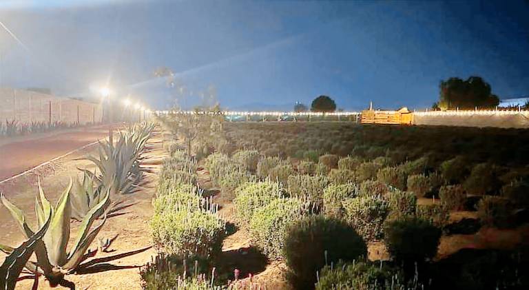 Tent with yard & terrace — photo 3