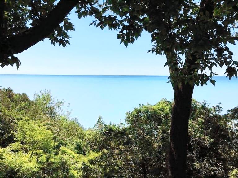 Cabin  Bayfield