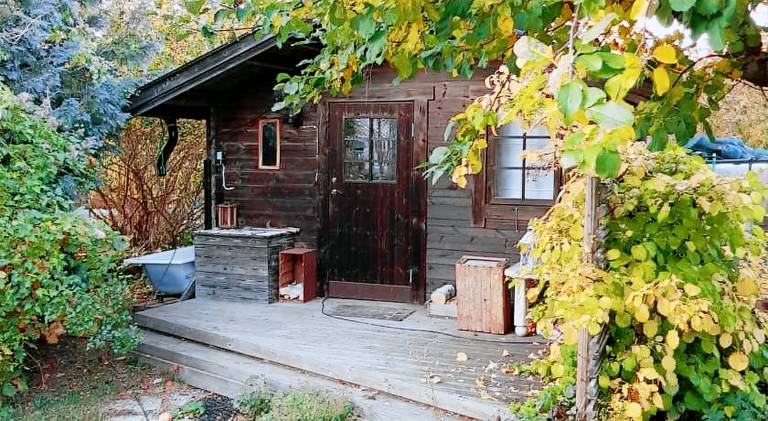 Perenner pa bakgarden — photo 4