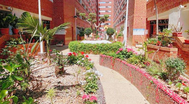 Rental apartment with terrace, garden & private pool | Next to the beach | Dogs allowed in Oropesa del Mar