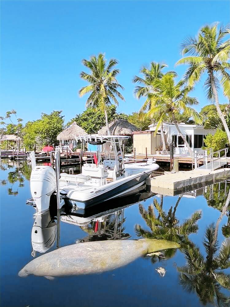 Caravan  Key Largo