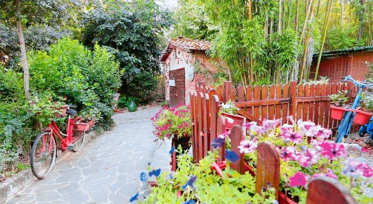 Beautiful rental apartment | Pets are welcome in Siena