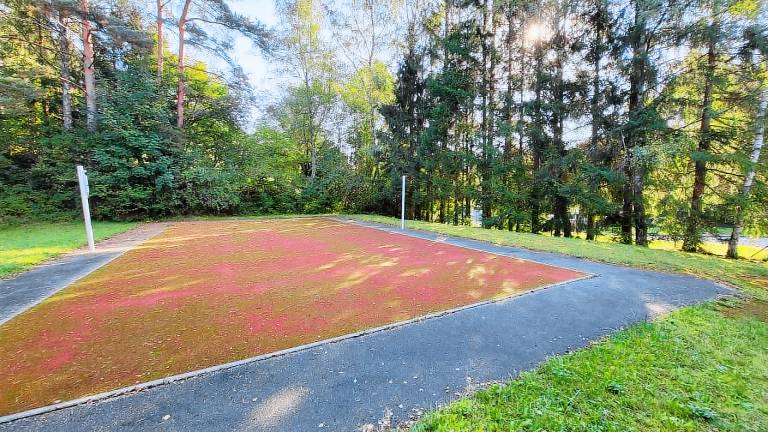 Ferienwohnung  Bad Wildbad