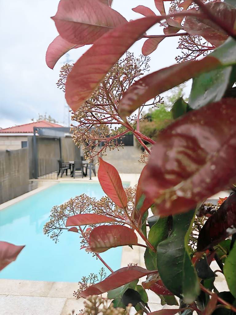 Holiday Home 'Casa Fraga Do Suadouro' with Mountain View, Wi-Fi and Air Conditioning in Braga