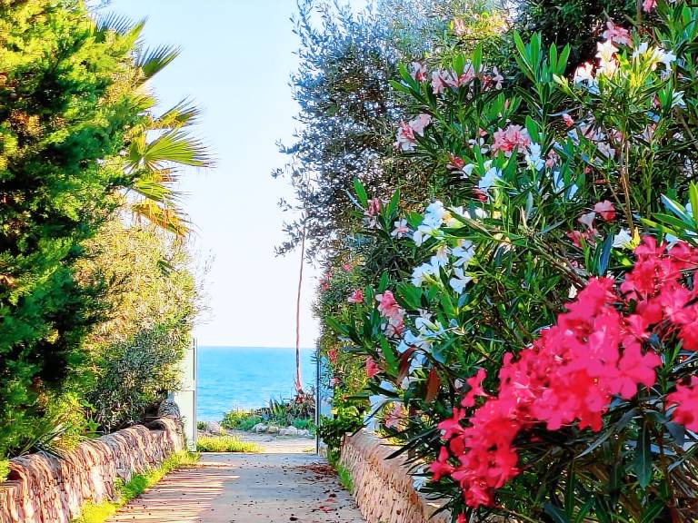 Kleines ruhiges Ferienhaus direkt am Meer