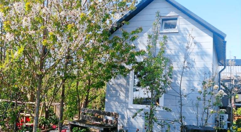 Tuinhuisje in het groen