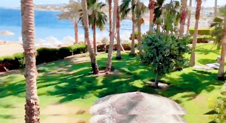 Serviced apartment with garden, terrace & pool in Sharm El Sheikh