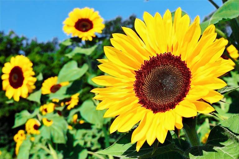 Ferienhaus in Norddeich, Nordsee f&uuml;r max. 2 Personen