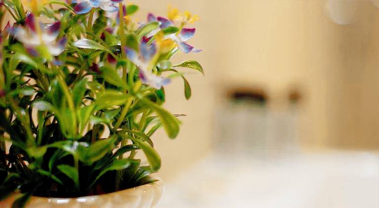 Appartement Mantoue