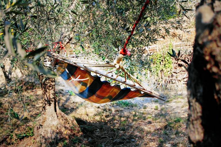 Agriturismo Il Brucaolivo: Relax e suoni della natura — photo 4