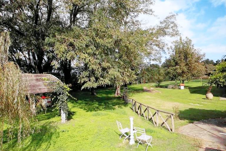 House  Torre Alfina