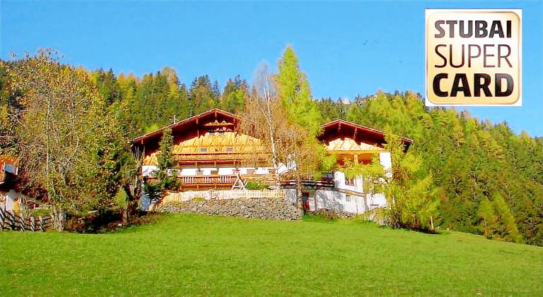 Nice holiday apartment with yard, BBQ & patio | Good for workation | Pets allowed in Neustift Im Stubaital