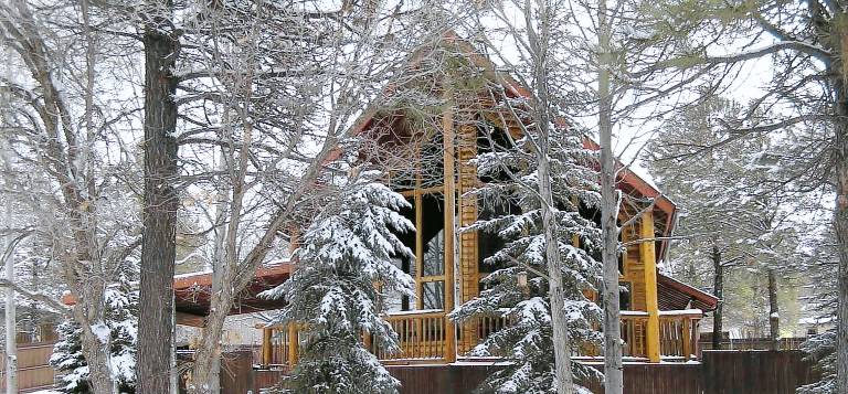 Cabin Pinetop