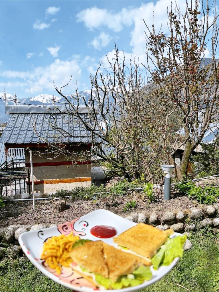 Naggar-Manali's paradise at Chanderlok — photo 4