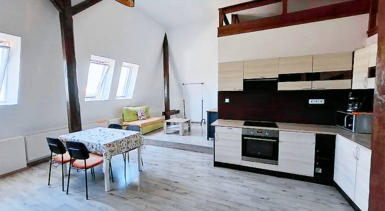 Apartment with terrace — photo 4