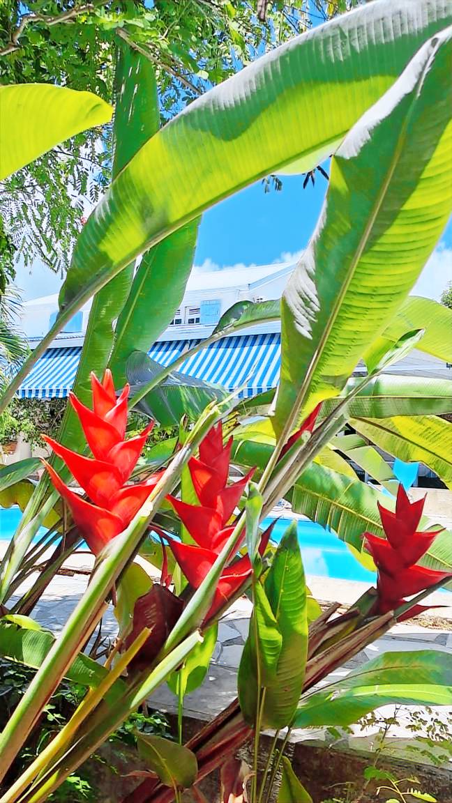 Maison de vacances Morne-à-l'Eau