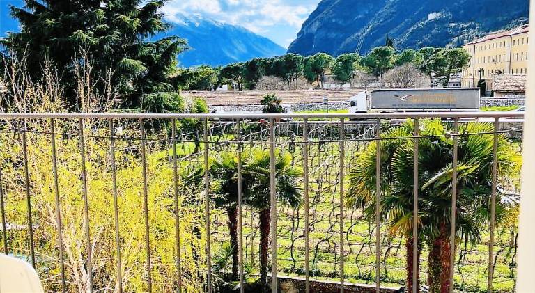 Holiday apartment with garden & barbeque | Perfect for remote work | Pets are welcome — photo 4