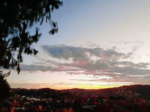 foto5