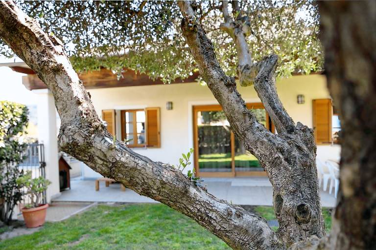 Villa with garden — photo 4