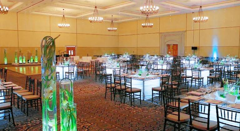 Holiday Inn Durango By IHG — photo 3