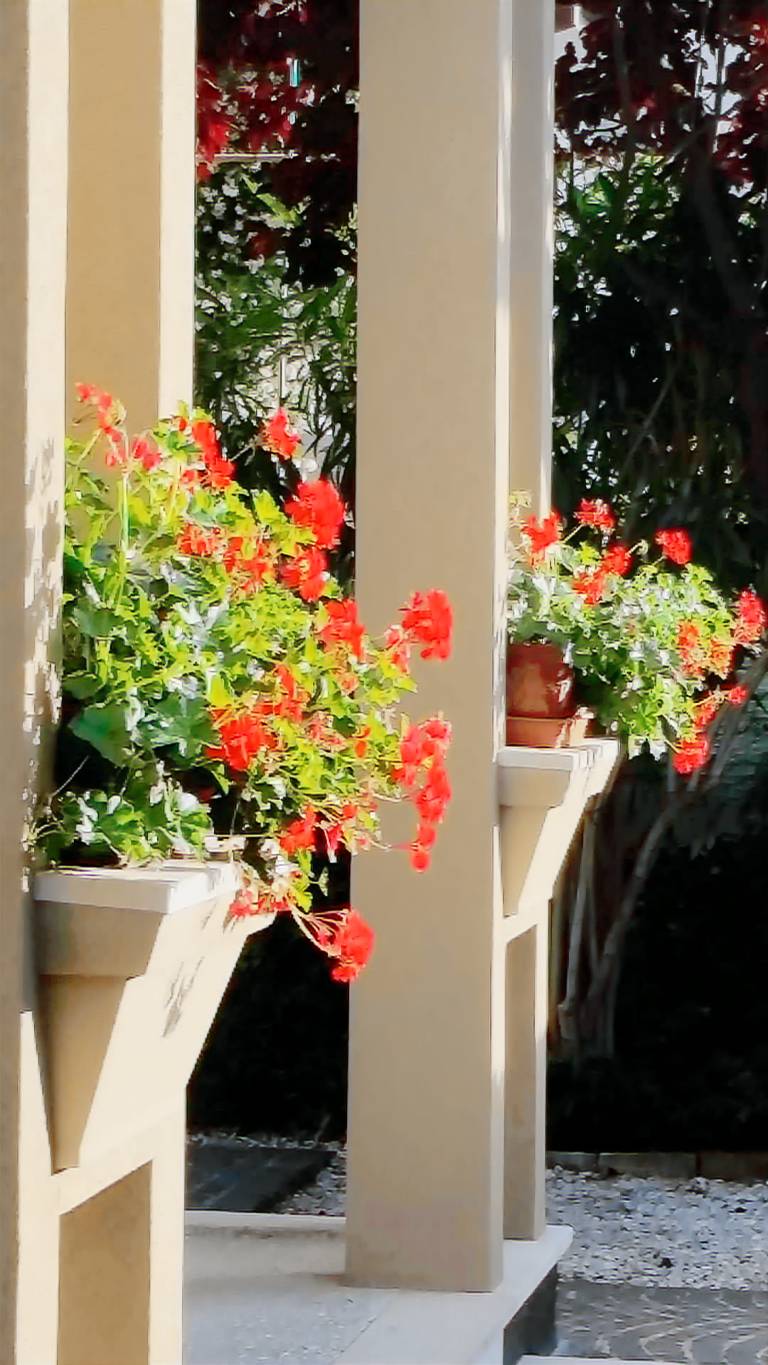 Appartement Riccione
