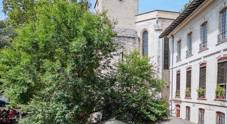 Holiday apartment | Next to Popes' Palace | Pet-friendly — photo 5