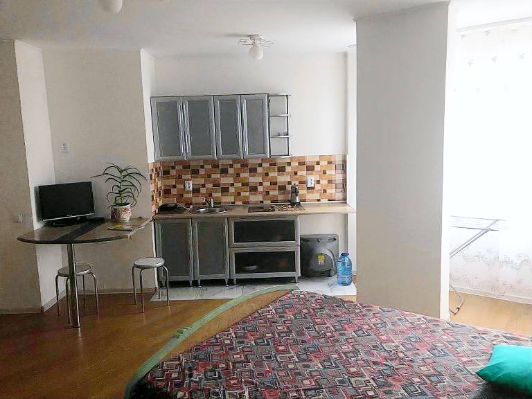 Lovely rental apartment with pool | Suitable for remote work | Pets are welcome — photo 4