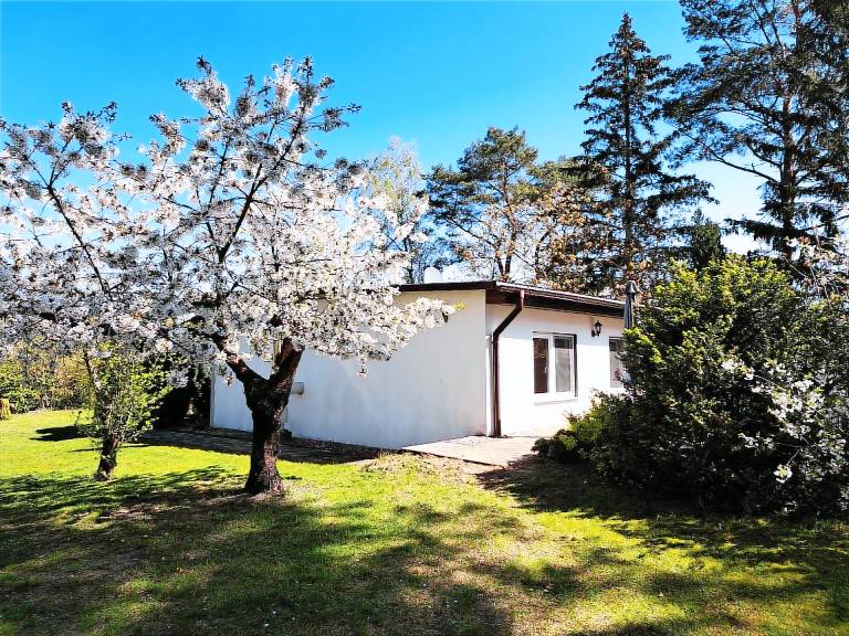 Ferienhaus mit Terrasse mitten im Grünen