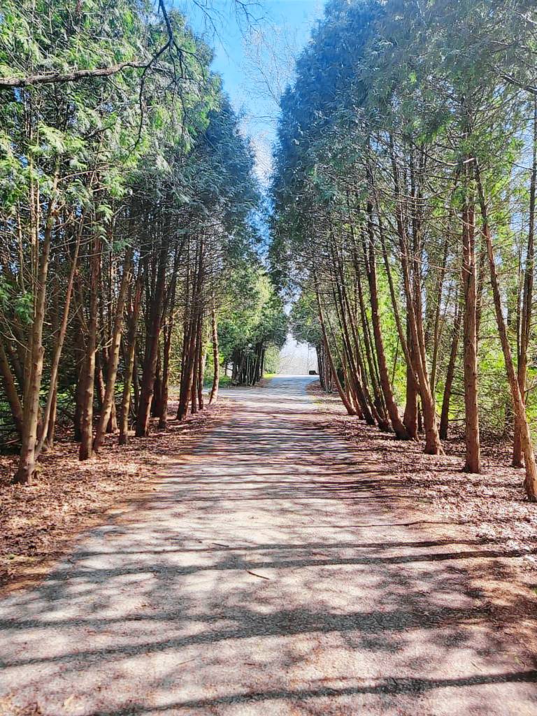 House Town of Pines