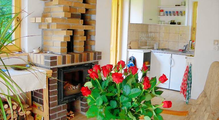 Chalet with 1 room for 5 persons — photo 3