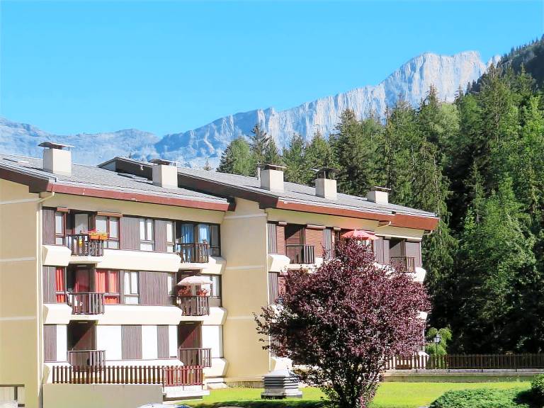 Studio flat Les Houches