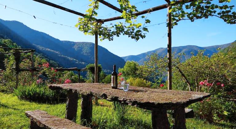 Rental apartment with 1 room for 4 persons in Ascona
